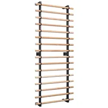Sport-Thieme Sprossenwand XS 16 Sprossen
