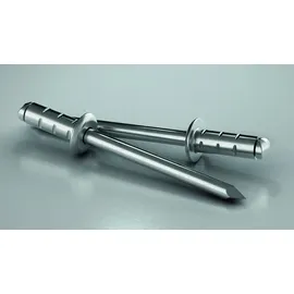 GESIPA Blindniettechnik GmbH Blindniete Alu/Stahl Grosskopf 4,8 x 25 K 16