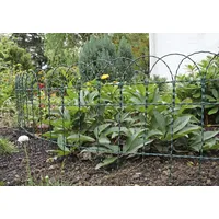 Floraworld Ziergitterzaun 10 m x 65 cm Moosgrün