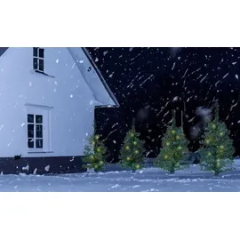 Spetebo Kleine Weihnachtsbäume 45 cm 4er mit Lichterkette - 10 LED pro Baum - Grün
