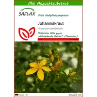 SAFLAX - Heilpflanzen - Johanniskraut - 300 Samen -