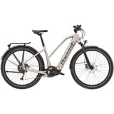 Diamant Zouma+ - Trapeze Elektro City Bike | iridiumsilber metallic - M