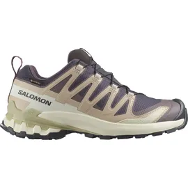 Salomon XA Pro 3D V9 GTX Damen Nine Iron/Oxford Tan/Alfalfa 40 2/3