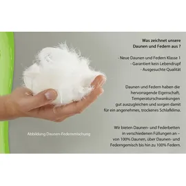 franknatur Ballonbett 155x220 Winterdecke 50% Gänsedaunen 2200g - Bettdecke Winter