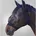Pony Schwarz