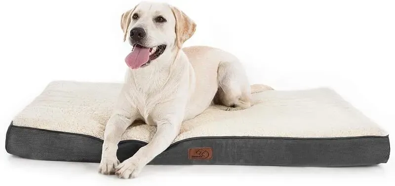 BEDSURE Hundekissen, Eierkarton-Schaumstoff für kleine, mittlere und große Hunde, orthopädisches Hundebett, gemütlicher Liegebereich, 75 x 50 cm, waschbar, Höhe 8 cm, Grau/Beige