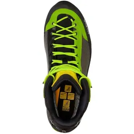 Salewa Crow GTX Herren Cactus/Sulphur Spring 46