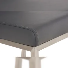 CLP 2er Set Esszimmerstühle Colmar Mit Pflegeleichtem Kunstledersitz I Gepolsterte Lehnstühle Mit Edelstahlgestell