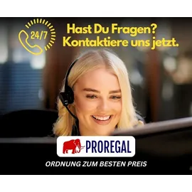 Proregal Mega Deal 4x Profi Transportroller mit 6 Rollen | HxBxT 11x30x68cm | Traglast 300kg | Sperrholzplatte | Braun