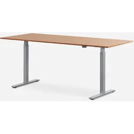 TOPSTAR Schreibtisch E-Table Buche / Grau