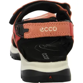 ECCO Offroad Damen burnt coal/spiced coral 41