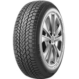 Giti GitiWinter W1 205/55 R16 91H