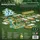 Strohmann Games Life of the Amazonia deutsche Version