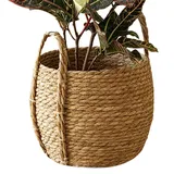 Generisch Rattan Pflanzkorb,Boden-Blumentopf mit Henkel - Rattan Geflochtener Pflanzkorb - für Zuhause, den Innenbereich, Wohnzimmer, Kinderzimmer, Studentenwohnheim, Bauernhaus, den Garten, Hof