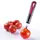 Westmark Gallant, 292022E1