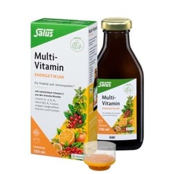 Salus Multi-Vitamin-Energetikum bio 250ml