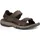 Teva Langdon walnut 48,5