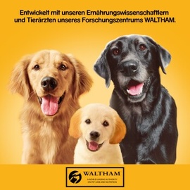 PEDIGREE Classic 3 Sorten Fleisch 12 x 800 g