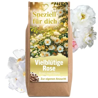 Geschenke für Frauen Vielblütige Rose Rosensamen Blumensamen Anzuchtset Geburtstagsgeschenk für Frauen Dankeschön Geschenke Mutter Tochter Geschenk Hochzeit Geschenk für Freundin
