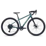 Academy Gravel 7 | forest | 40 cm | Gravelbikes - grün