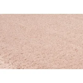 OCI Shaggy Premio Soft 160 x 230 cm Mikrofaser Beige