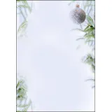 Sigel Weihnachtsbriefpapier Winter Mood Motiv DIN A4 90 g/qm 100 Blatt