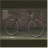 Fairdale Express M/L Fahrrad in Matt Carbon mit Stahlrahmen und Aluminiumteilen