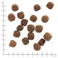 Wolfsblut Wild Duck Adult 12,5 kg