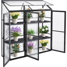 Gegaden Frühbeet Aluminium Grau Blankglas 0 mm 0,99 m2
