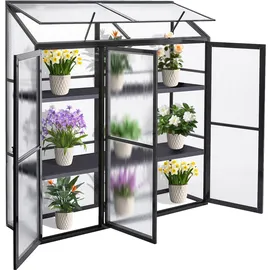 Gegaden Frühbeet Aluminium Grau Blankglas 0 mm 0,99 m2