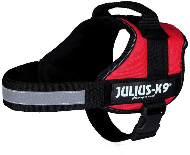 Julius-K9 Hunde-Powergeschirr Powergeschirr rot Größe: Baby 1 / XS / Maße: 30-40 cm