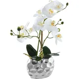 OTTO home Orchidee 13 x 6,5 x 38 cm Weiß/Silberfarben