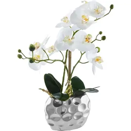 OTTO home Orchidee 13 x 6,5 x 38 cm Weiß/Silberfarben