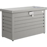 Biohort Paket-Box 100 Quarzgrau-Metallic (68910)