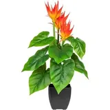 creativ-green CREATIV green Kunstpflanze Guzmania, Kunststofftopf Höhe 58cm