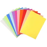 Exacompta Forever 410000E Packung mit 100 Aktendeckel (aus 220g/qm recyceltem Karton in Format 24 x 32 cm, ideal für DIN A4, farbig sortiert)