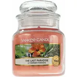 Yankee Candle The Last Paradise kleine Kerze 104 g