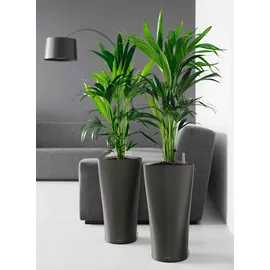 LECHUZA Delta 40 Komplettset 40 x 40 x 75 cm anthrazit metallic