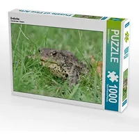 Calvendo Erdkröte Puzzle