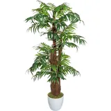Creativ green Kunstpflanze Arecapalme grün Kunststoff B/H/L: ca 150cm, mit Cocos und mit Moos