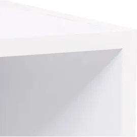 Woltu SK003ws4 Aktenregal 30x106x24 cm Weiß