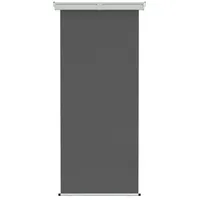 vidaXL Seitenmarkise 100 x 300 cm grau Eisen