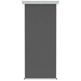 vidaXL Seitenmarkise 100 x 300 cm grau Eisen