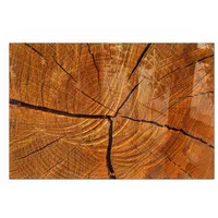 Tulup Glasbodenplatte Rechteck 60 x 40 x 0,4 cm Orange