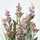 Homescapes KUNSTPFLANZE Lavendel rosa 66 cm
