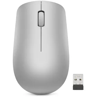 Lenovo 530 Platingrau