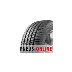 Pilot Sport A/S 3 (N0) XL