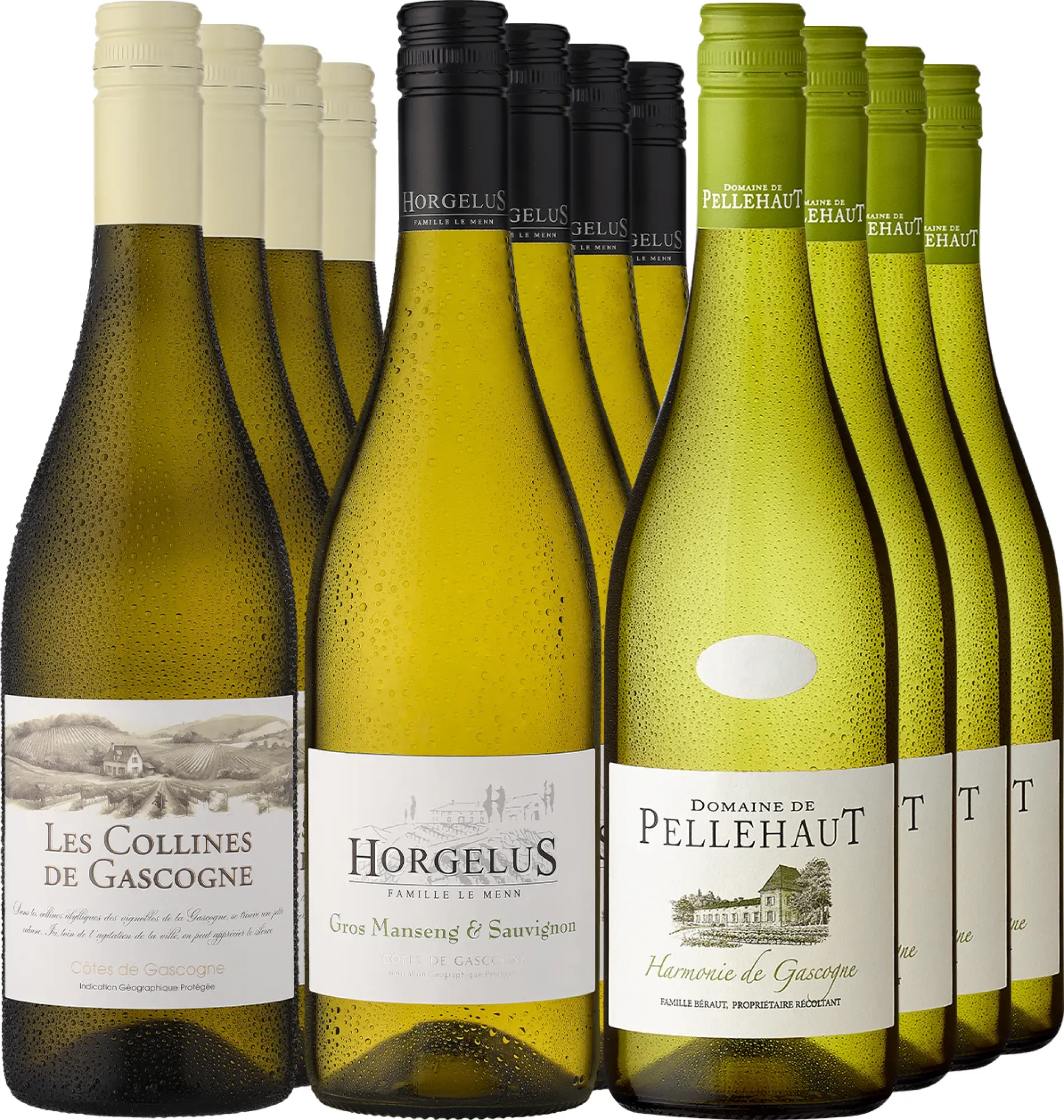 12er-Probierpaket »Lieblinge aus der Gascogne«