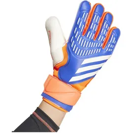adidas Predator Match Torwarthandschuhe Lucid Blue / Solar Red / White 9