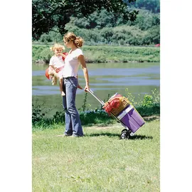 WOLFCRAFT Sackkarre TS 600 70 kg